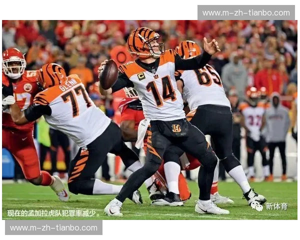 开云体育伤病康复，助力运动员重回巅峰