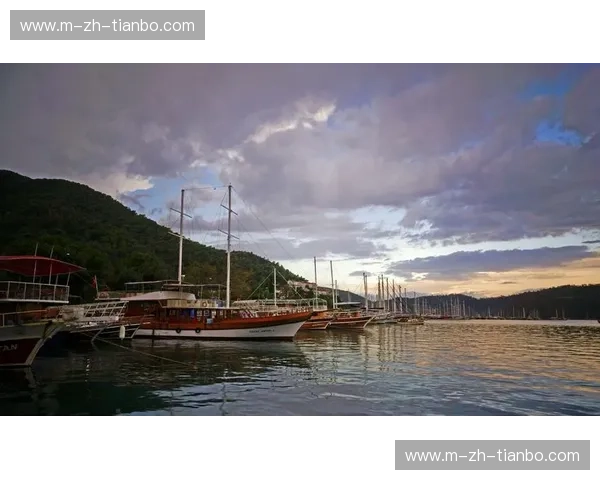 卡昂与蒙彼利埃：法甲赛场上的“黑白玫瑰”与“地中海明珠”的对决